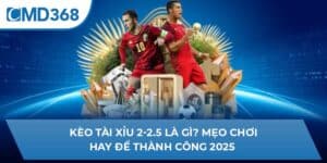 Kèo Tài Xỉu 2-2.5 Là Gì? Mẹo Chơi Hay Để Thành Công 2025